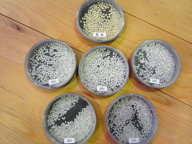 お米のサンプル