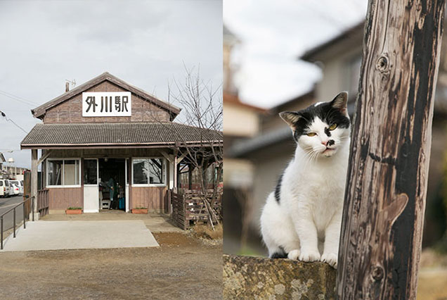 木造の外川駅は銚電の終点駅 変顔のネコも可愛い