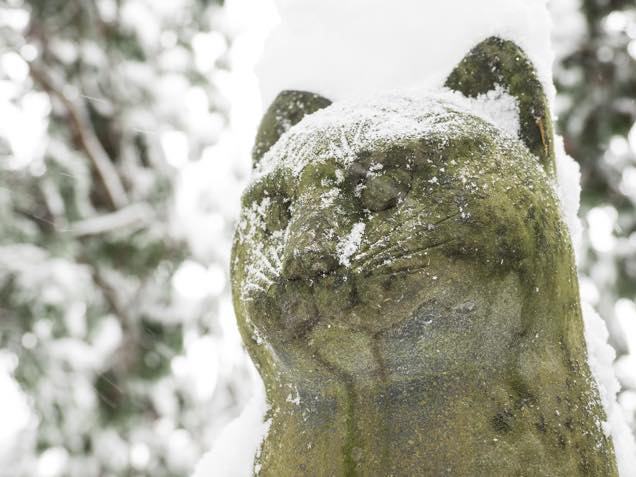 雪が積もった南部神社の猫叉権現