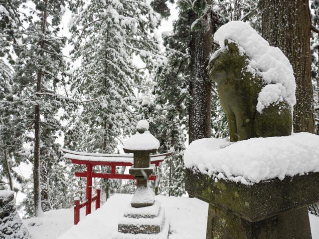 鳥居を見下ろす猫叉権現