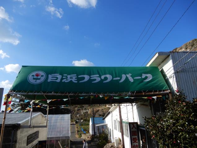 白浜フラワーパーク1