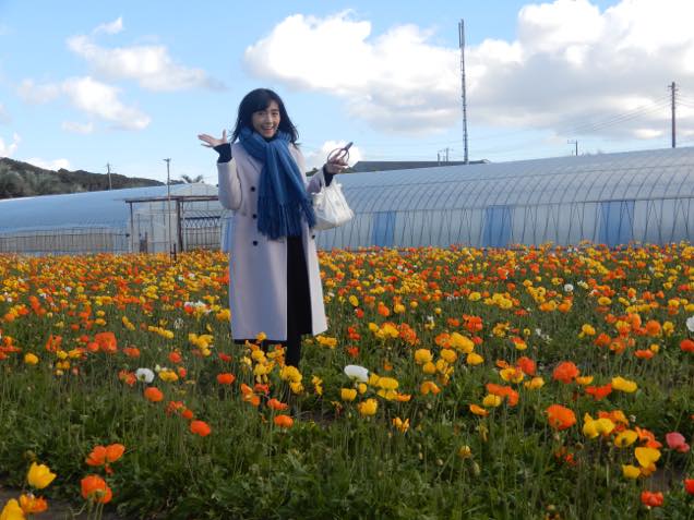 館山ファミリーパーク3