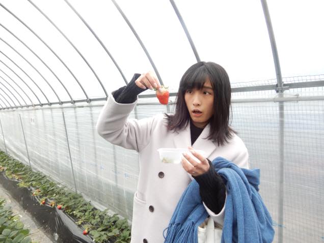 館山観光いちご狩りセンター2