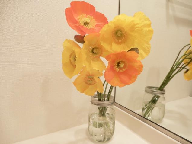 ポピーが咲いた