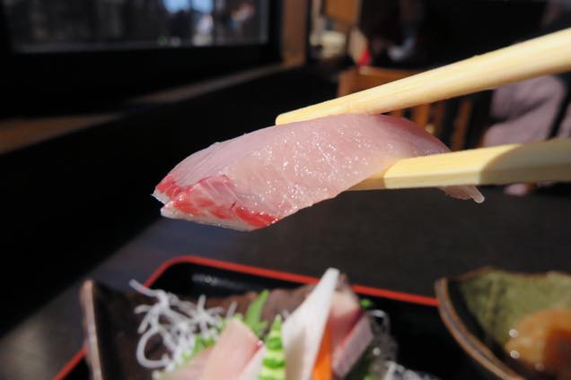 氷見の寒ブリのお刺し身