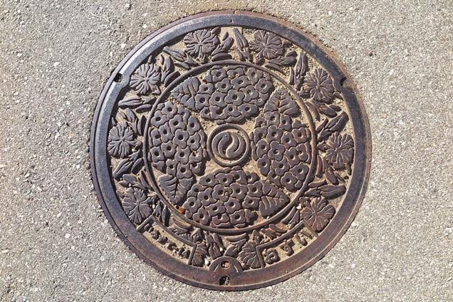  射水市のデザイン蓋