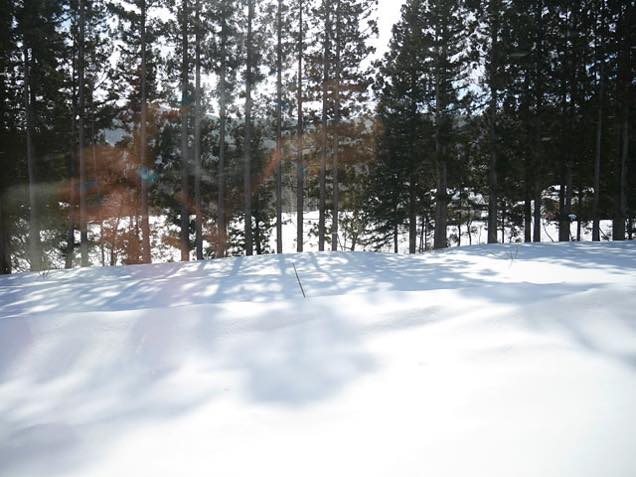 車窓は一面銀世界