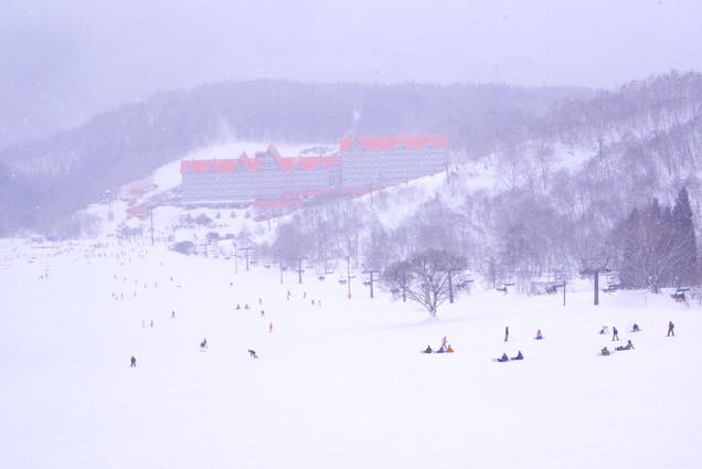 リフトからの景色