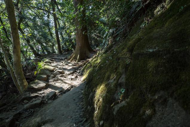 足場の悪い道中