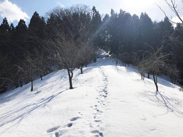 長谷堂城跡道中