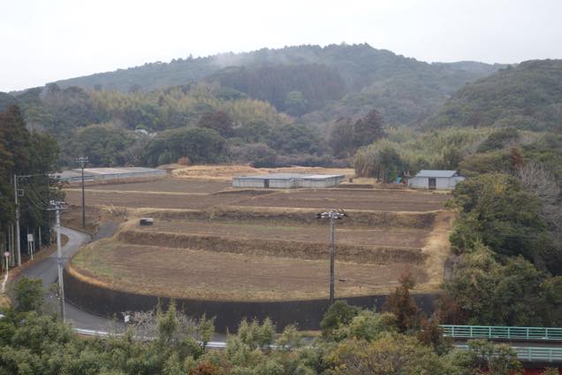 緑の山に囲まれた安房グリーンラインの棚田