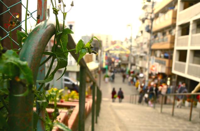 谷中銀座　商店街