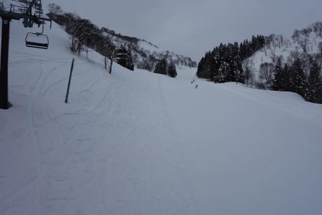 みみずくコース