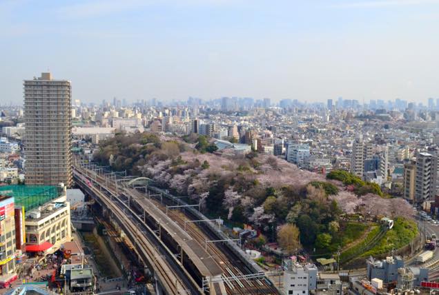 新幹線と飛鳥山