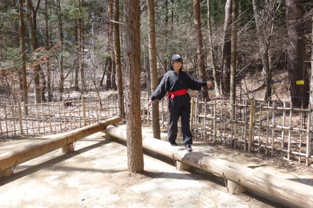 忍野　しのびの里