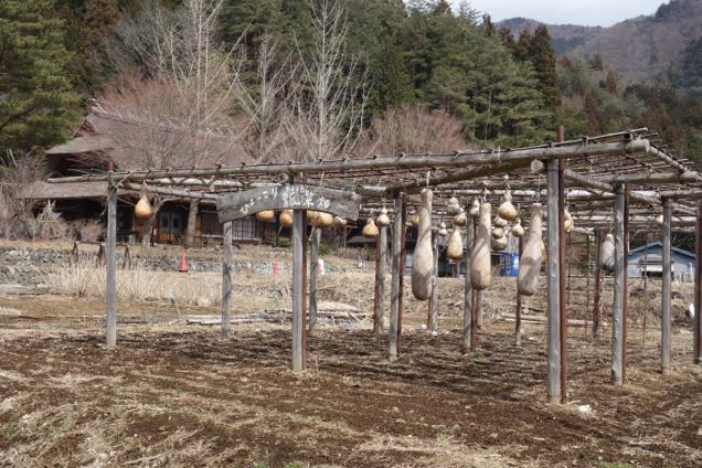 西湖いやしの里根場