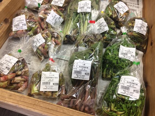 販売されている山菜