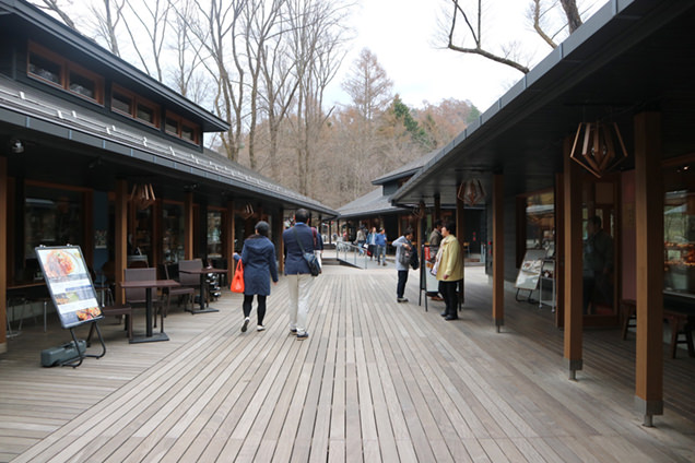 ハルニレテラス