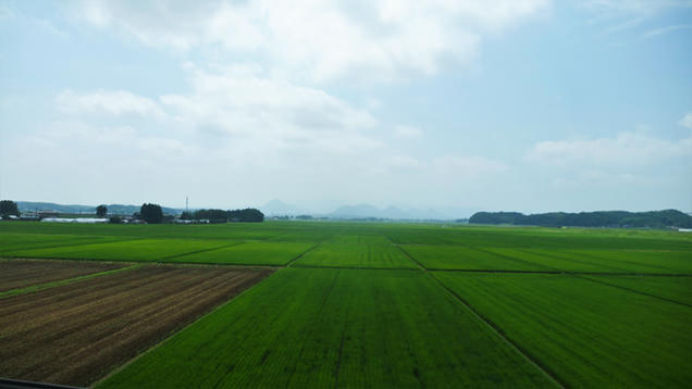 田園風景