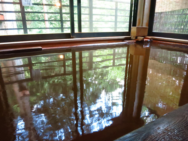 毒沢鉱泉 神乃湯の内湯