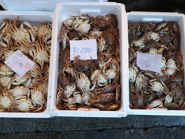陸奥湊駅前朝市　蟹