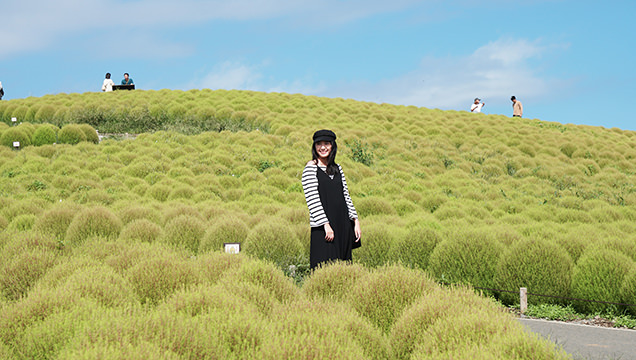 :国営ひたち海浜公園　コキア