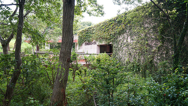 国営ひたち海浜公園　記念の森レストハウス 外観