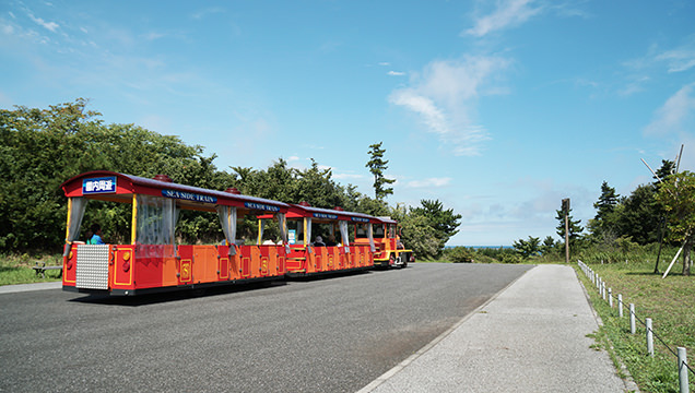 国営ひたち海浜公園　シーサイドトレイン