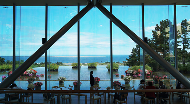 国営ひたち海浜公園　グラスハウス　内観