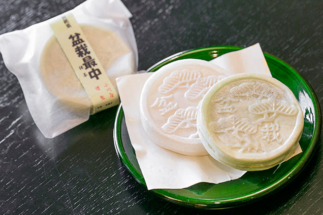 盆栽レストラン大宮　盆栽最中