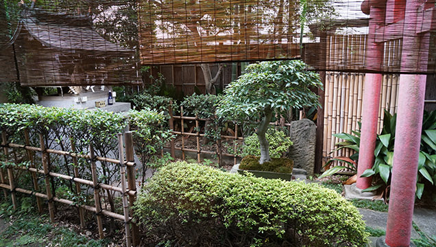 本むら庵 荻窪本店　中庭