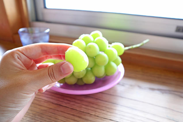 萩原フルーツ農園　シャインマスカット