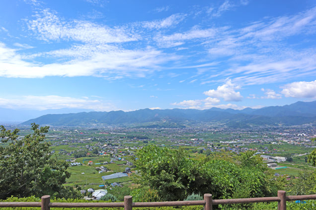 勝沼ぶどうの丘