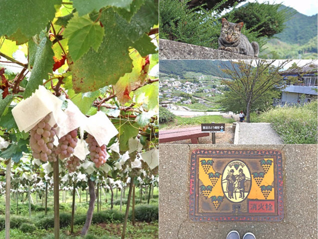 勝沼ぶどうの丘から勝沼ぶどう郷駅への道のり