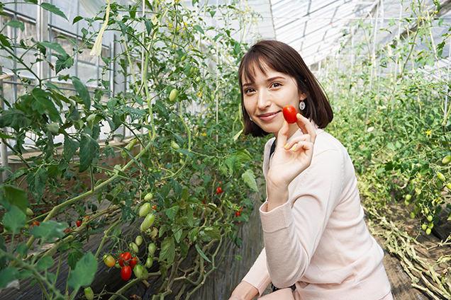 観音温泉　農場　収穫体験