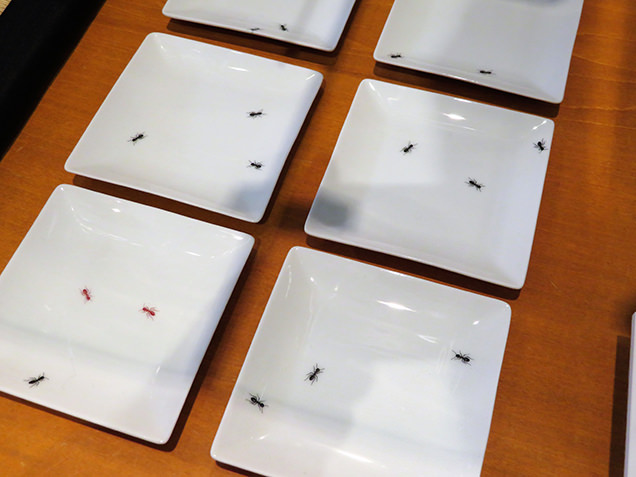 諸橋近代美術館　ショップ　角皿