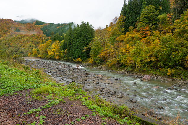 只見駅　大白川駅　渓流