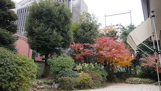 旧江戸川乱歩邸　庭