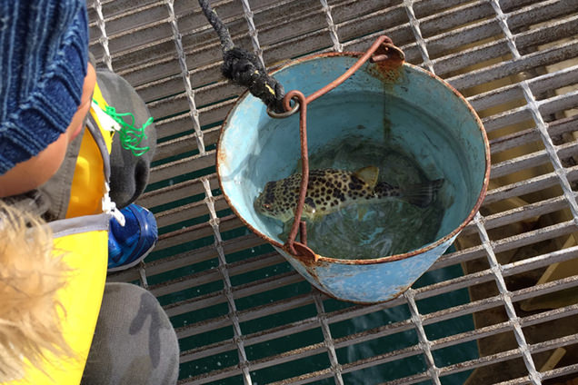 のとじま水族館　海づりセンター