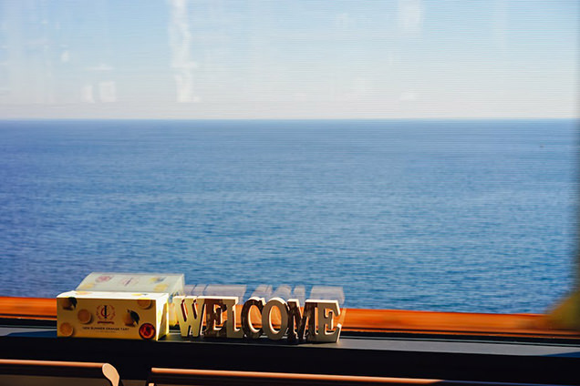 伊豆クレイル　車窓からの風景