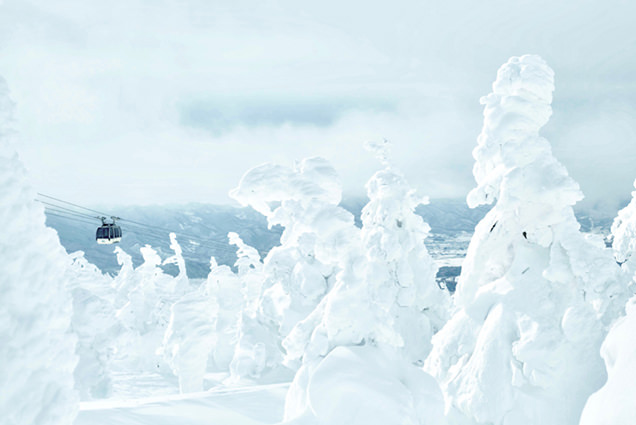 蔵王温泉スキー場　樹氷