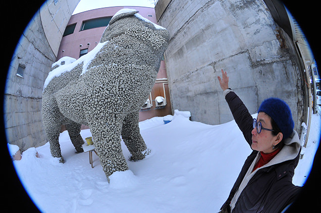 「デッカい秋田犬」