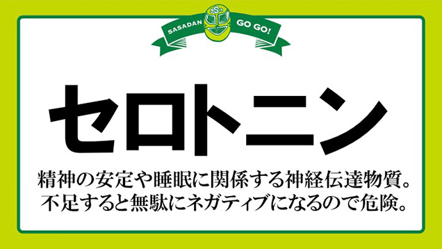 セロトニン説明