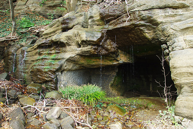 大房岬自然公園　行者窟　不動滝
