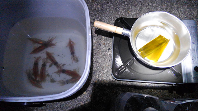 ホタルイカ試食準備