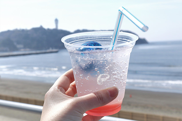 新江ノ島水族館　オーシャンデッキ