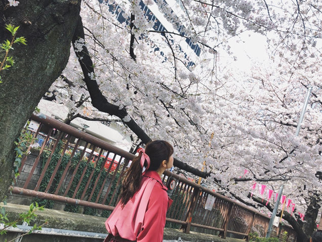 目黒川　桜とライター