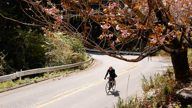 筑波山をロードバイクで下山