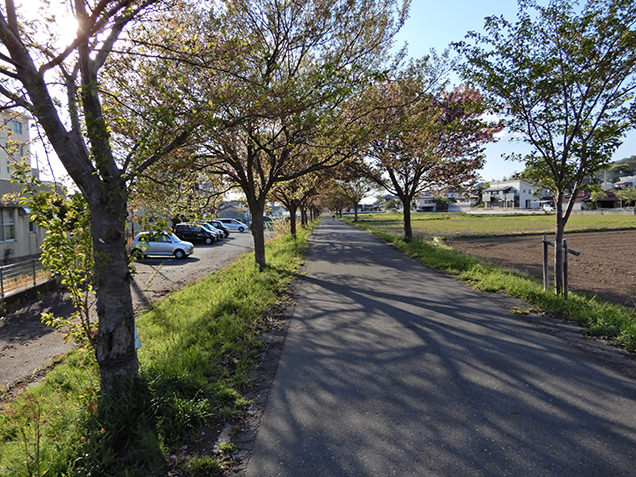 つくばりんりんロード