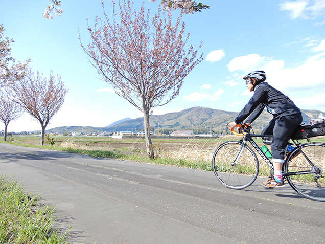 つくばりんりんロード